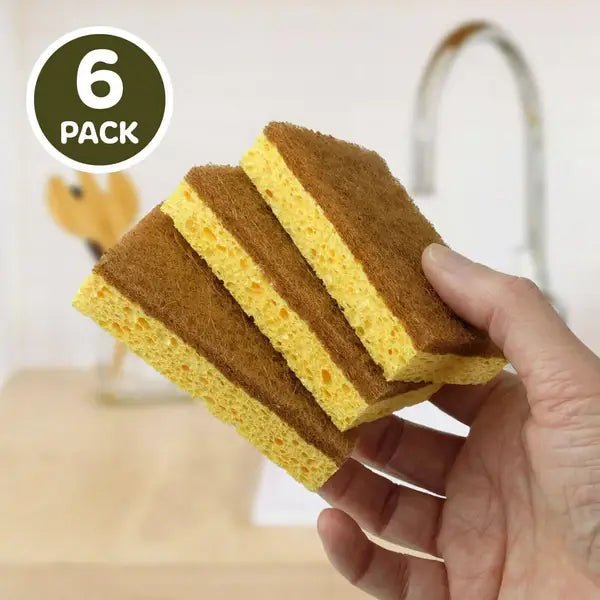Natural Coconut & Cellulose Sponge Scourers (Pack of 6) - EcoElara