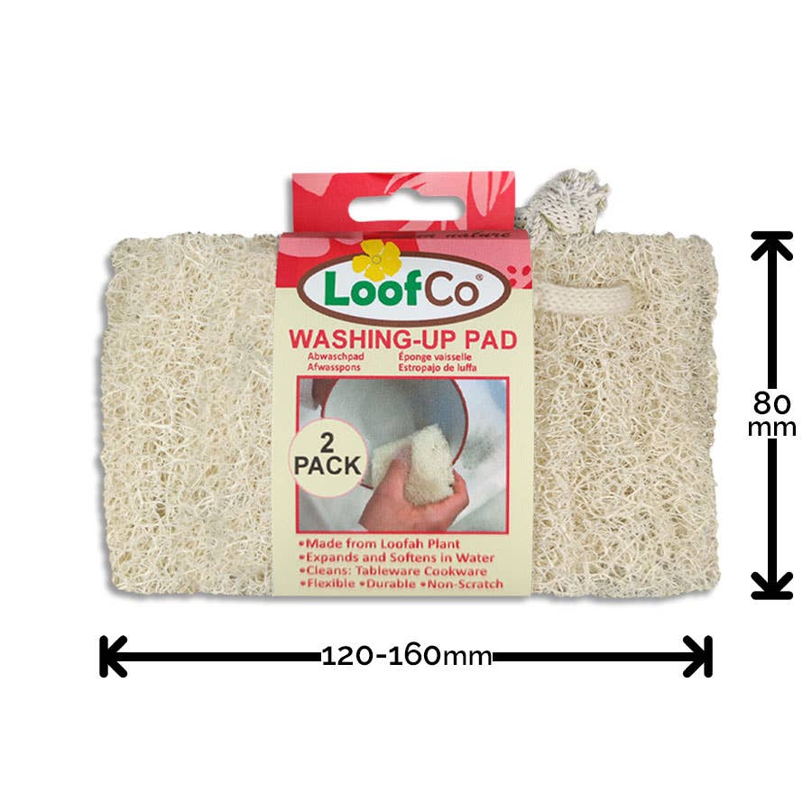 A 2-pack of LoofCo  plastic-free washing-up pads shown with printed dimension arrows indicating 120-160mm wide and 80mm tall, on a plain white background.