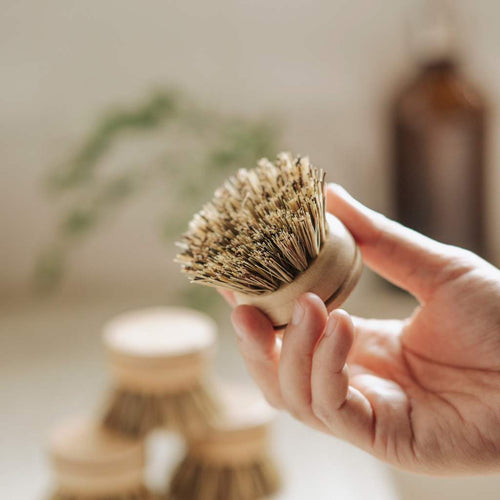 Bamboo Dish Brush Replacement Head - Soft or Firm - EcoElara