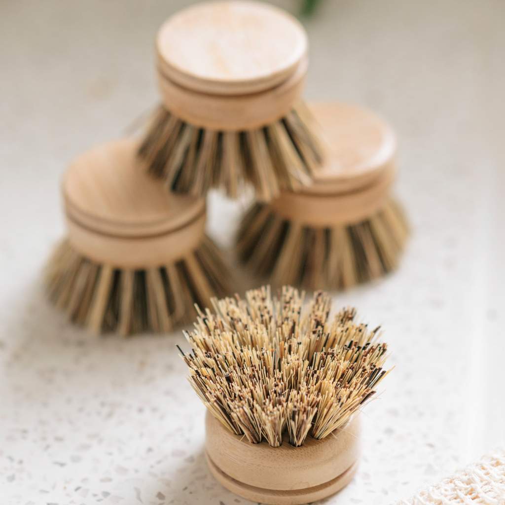 Bamboo Dish Brush Replacement Head - Soft or Firm - EcoElara