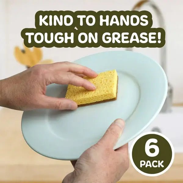 Natural Coconut & Cellulose Sponge Scourers (Pack of 6) - EcoElara