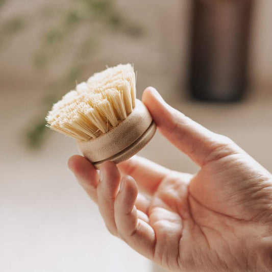 Hand holding a natural bristle brush with a blurred background