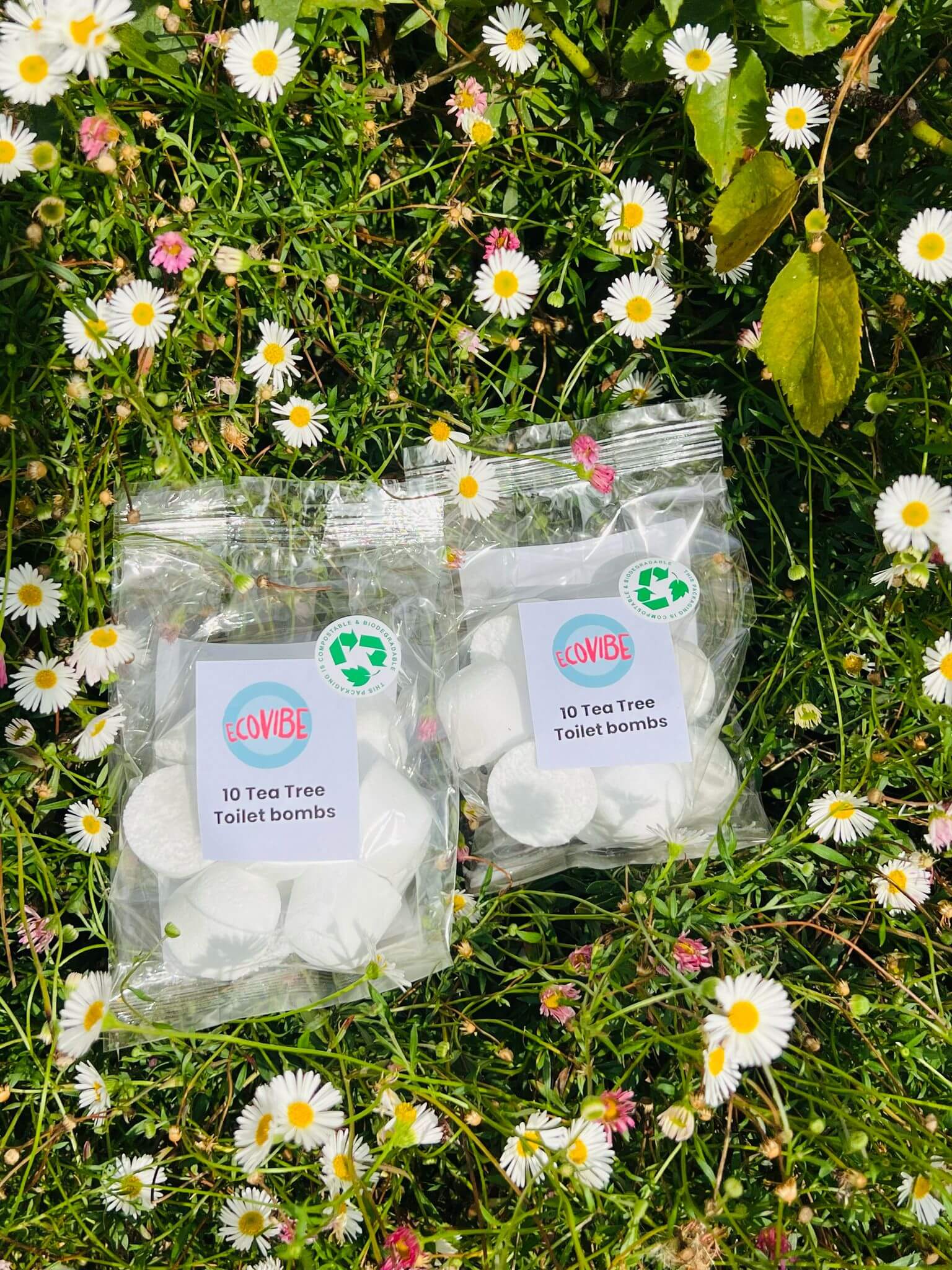 Tea Tree Toilet Fizz Bombs - EcoElara
