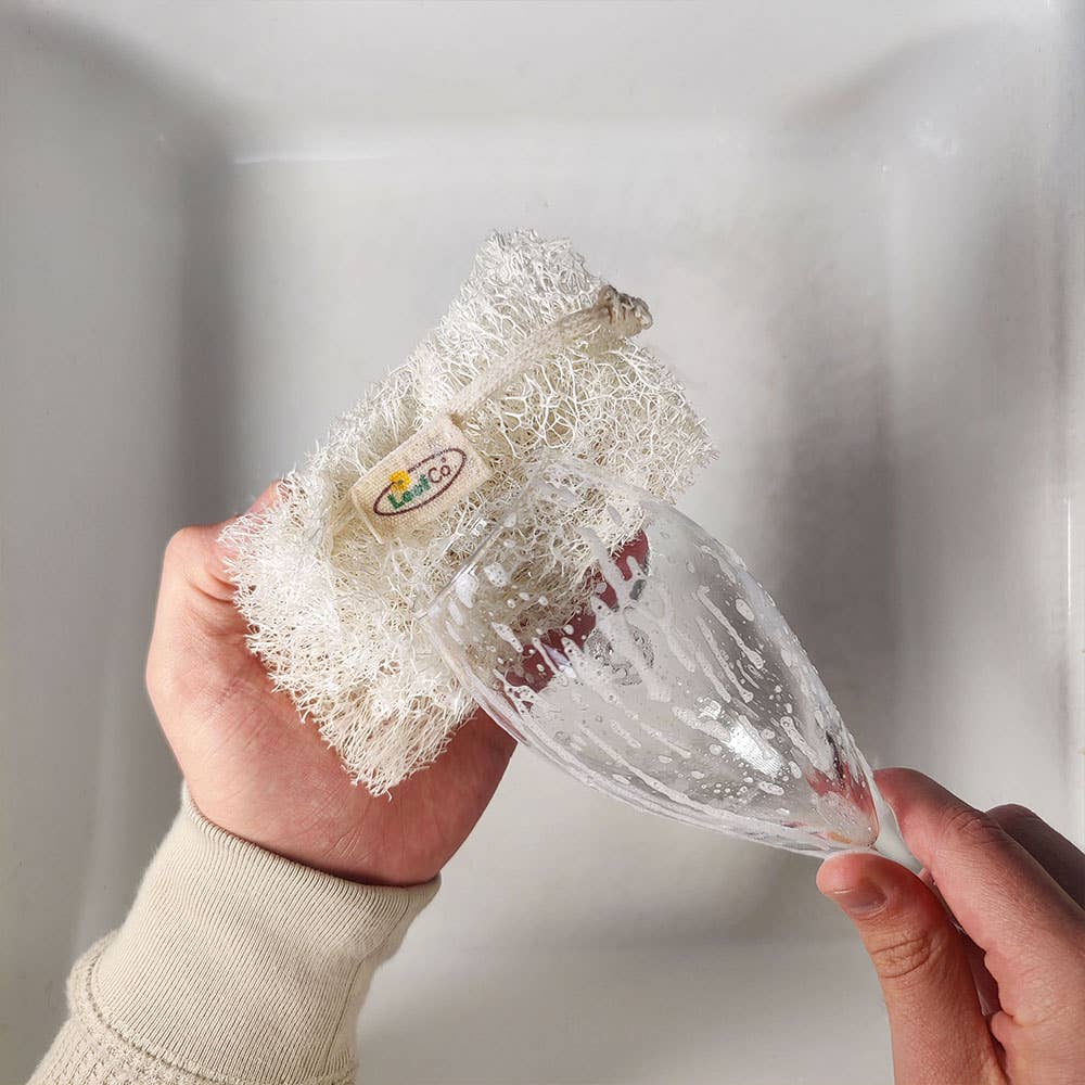 A person holds a clear glass bowl with a natural loofah kitchen dish scrubber brush featuring a small embroidered LoofCo label, set against a soft, neutral gray background.