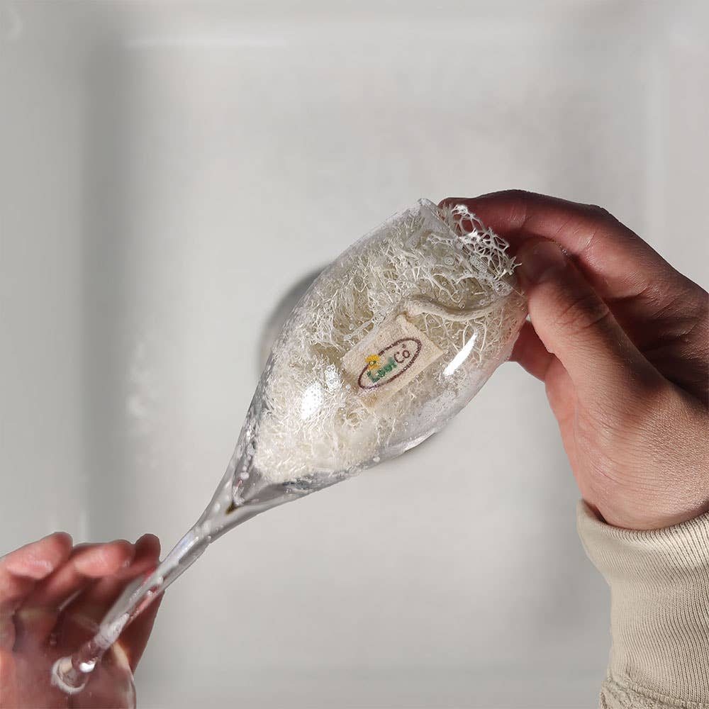 Hand holding a clear glass with a plastic free loofah washpad in glass