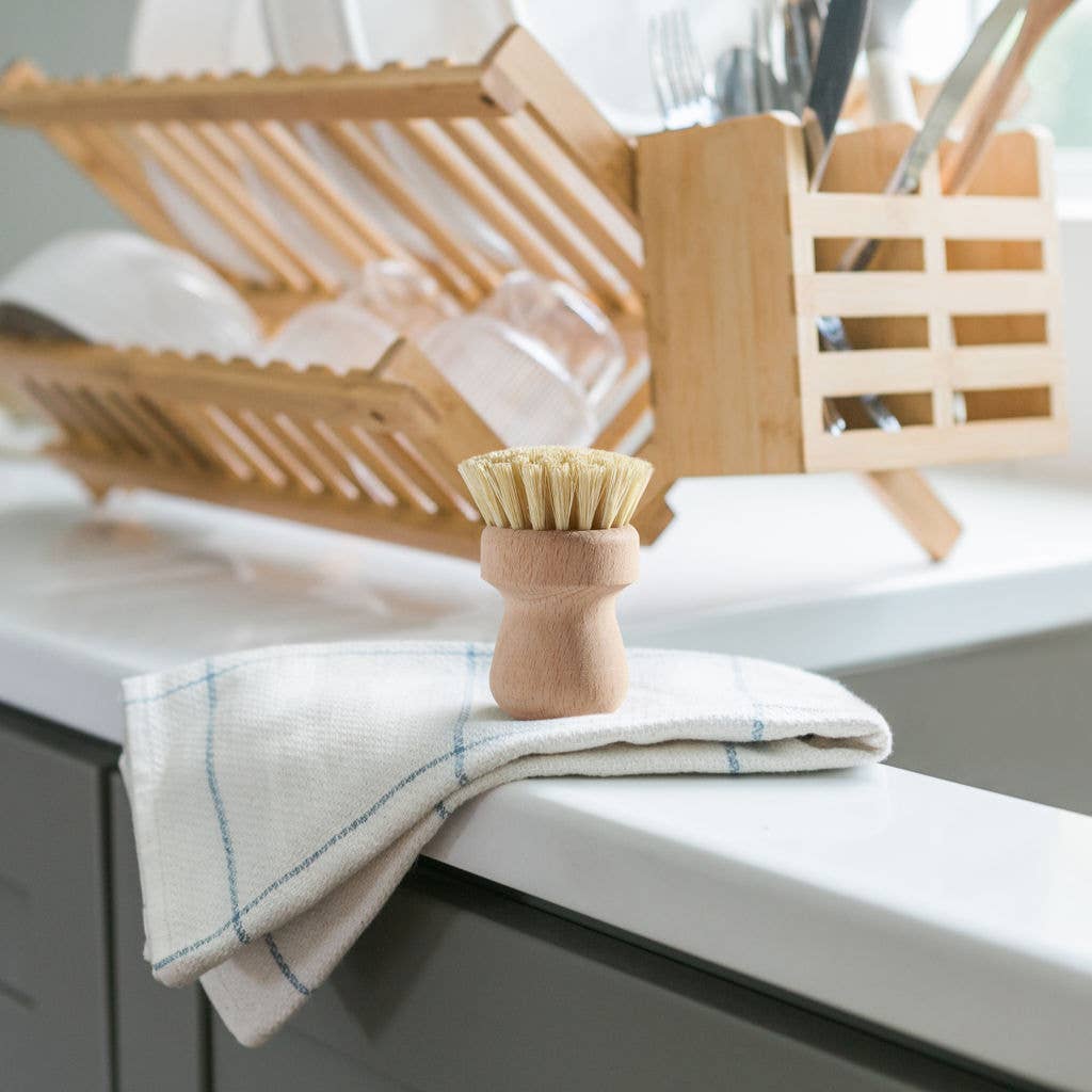 Sustainable Tampico Fibre Pot Cleaning Brush - EcoElara